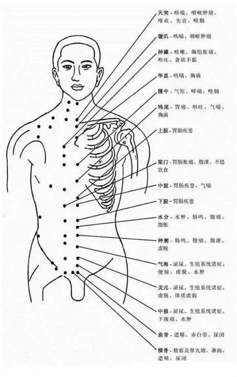 人身穴位圖|人體409個穴位詳解，附高清圖！功效講得很清楚了